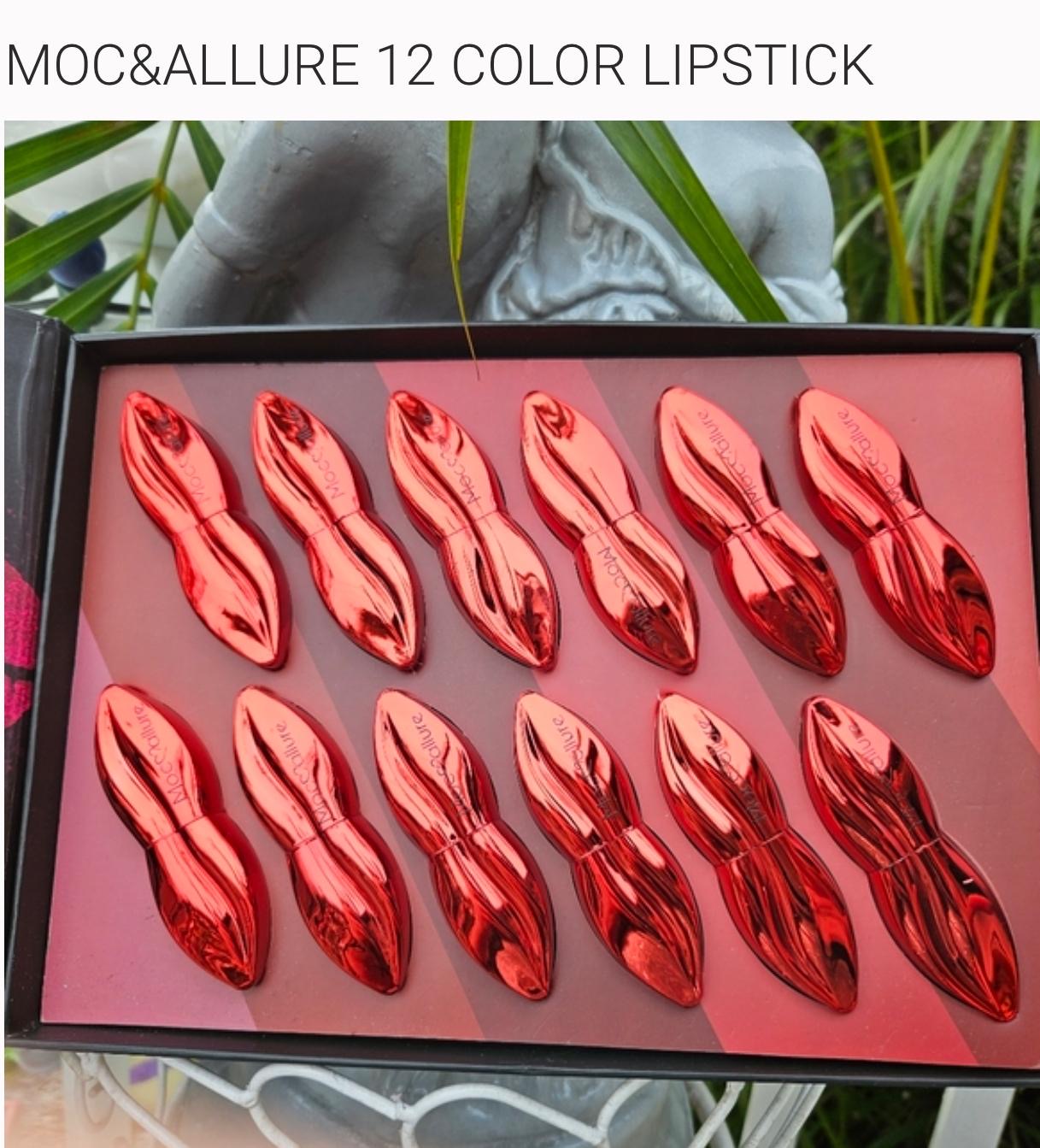 Moc❤️allure 12Pc Color Matte Lipstick 💄