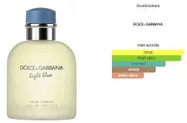 DOLCE & GABBANA LIGHT BLUE INSPIRED