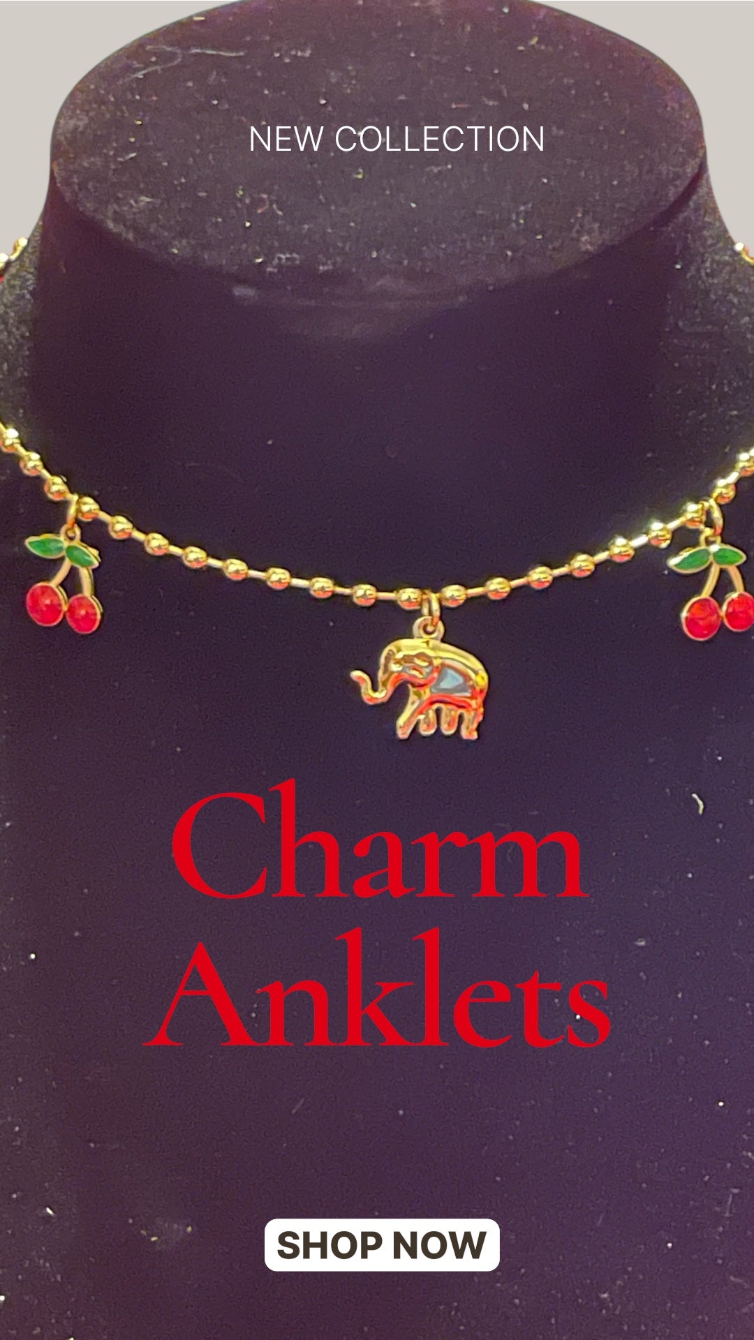 Charm anklet