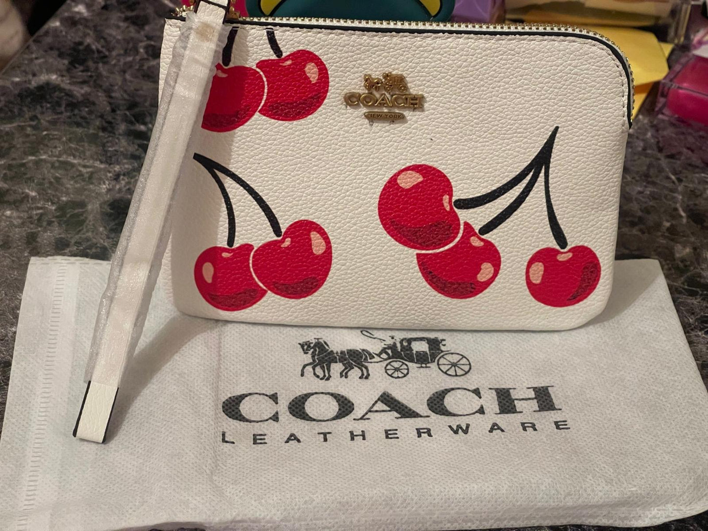 Coach Handbag
