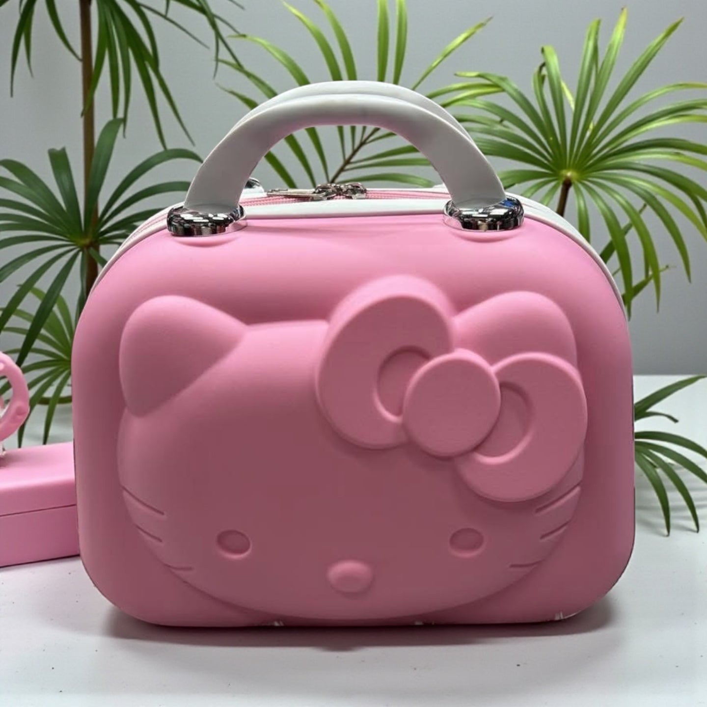 Hk travel case