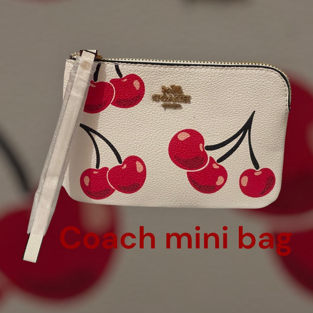 Coach Handbag