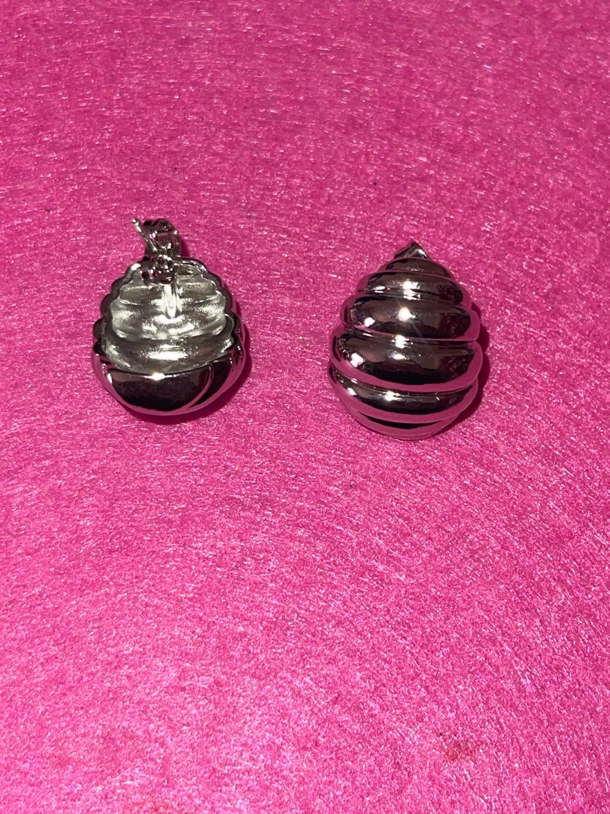 Stainless steel earrings
