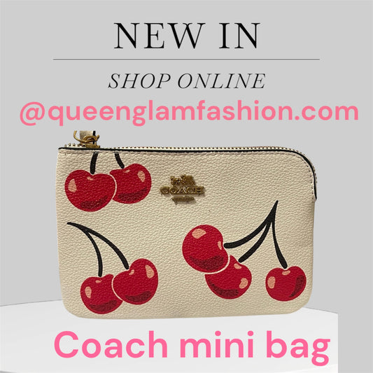 Coach Handbag