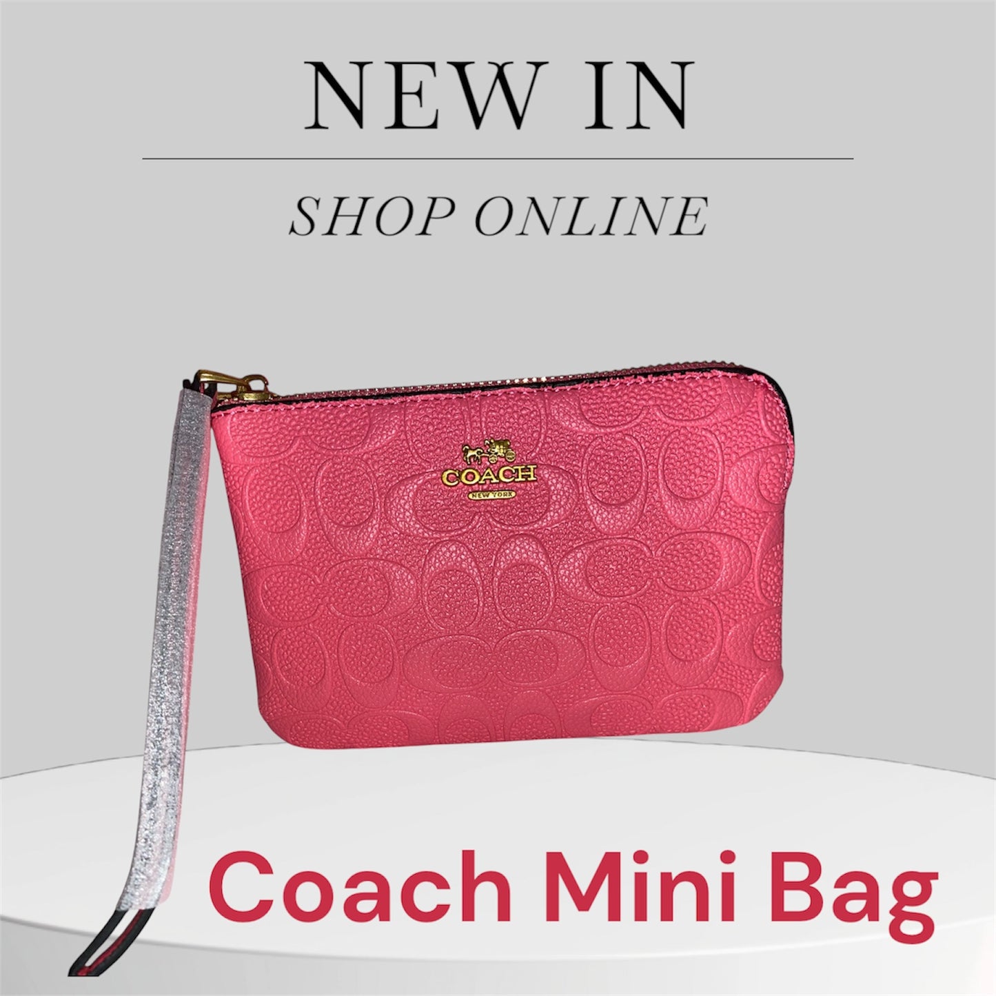 Coach Mini Handbag