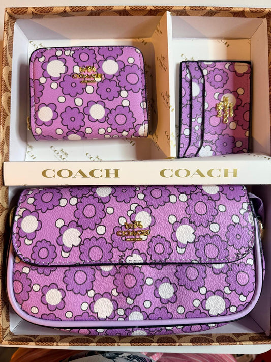 Coach handbag 3pc