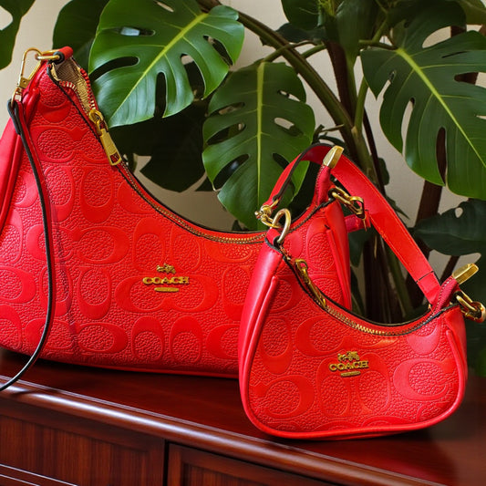 Co@ch Handbag & Matching mini bag