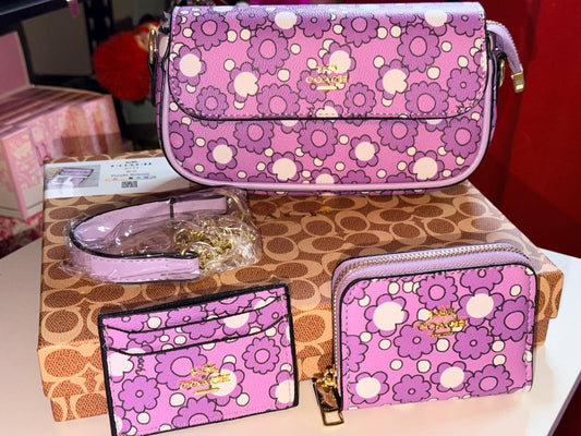 Coach handbag 3pc
